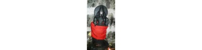 திருப்புலிவனம்